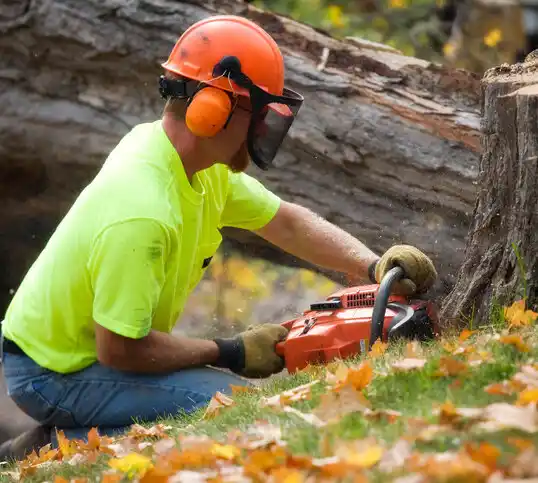 tree services Stanfield